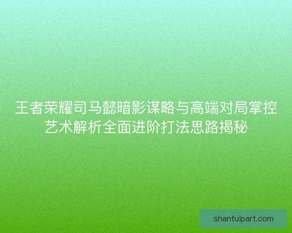 王者荣耀司马懿暗影谋略与高端对局掌控艺术解析全面进阶打法思路揭秘
