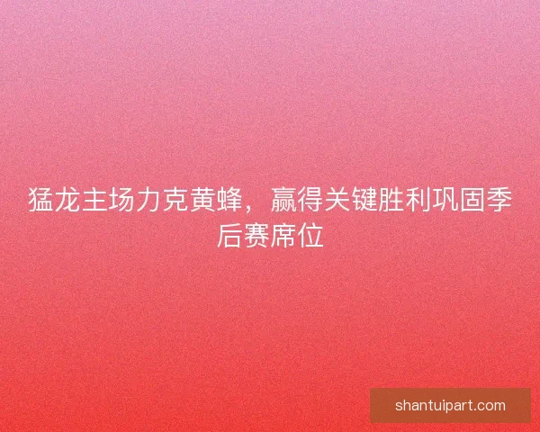 猛龙主场力克黄蜂，赢得关键胜利巩固季后赛席位