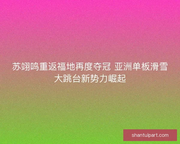 苏翊鸣重返福地再度夺冠 亚洲单板滑雪大跳台新势力崛起